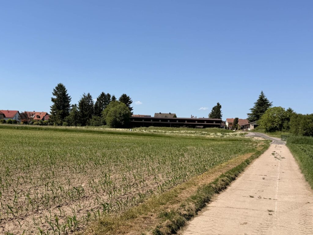 Grundstück in der Pfalz kaufen im Baugebiet Schulzehnten in Steinfeld